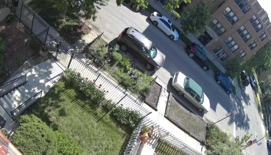 Reolink Camera Two_01_Reolink Home Hub One_20260525093917.jpg